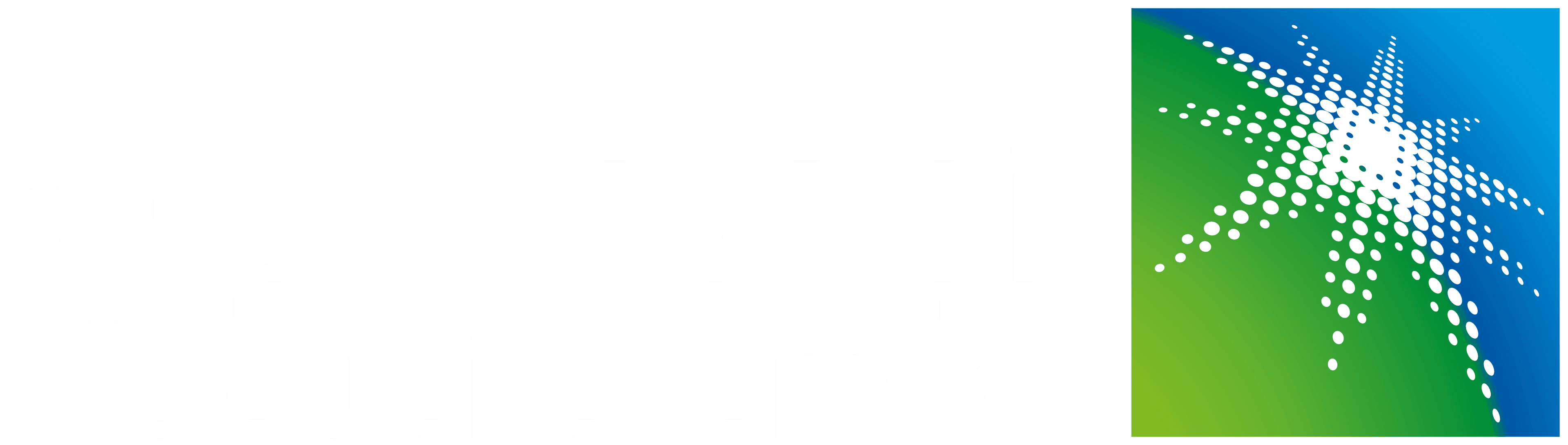 PM. V.B. at Saudi Aramco